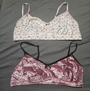 Floral and Velvet Bralettes. Gently Worn.⋆｡‧˚ʚ🍓ɞ˚‧｡⋆